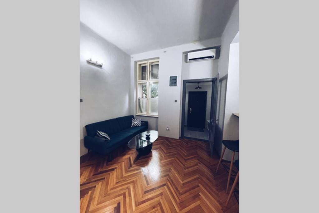 ☆Modern High Ceiling Apartment - Heart Of The City オラデア エクステリア 写真