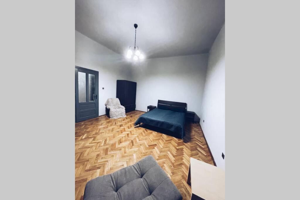 ☆Modern High Ceiling Apartment - Heart Of The City オラデア エクステリア 写真